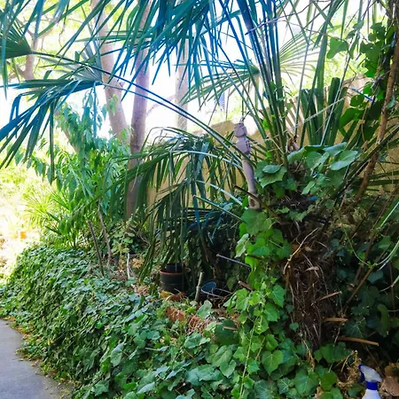 With Parking Space - 24719 Apartman